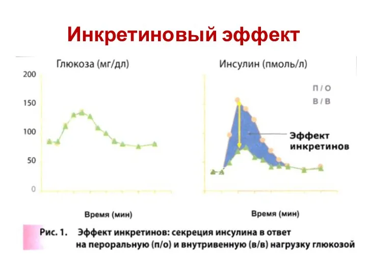 Инкретиновый эффект