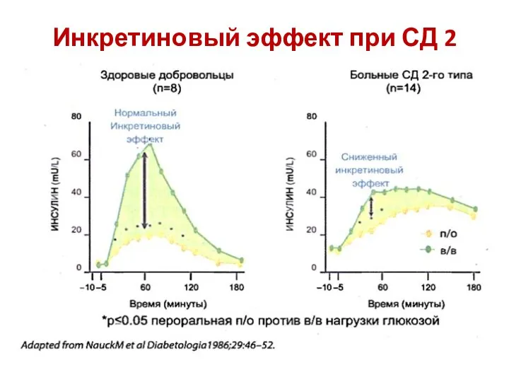 Инкретиновый эффект при СД 2