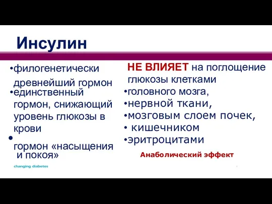 филогенетически древнейший гормон единственный гормон, снижающий уровень глюкозы в крови