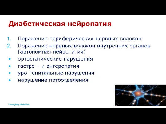 Диабетическая нейропатия Поражение периферических нервных волокон Поражение нервных волокон внутренних органов (автономная нейропатия)