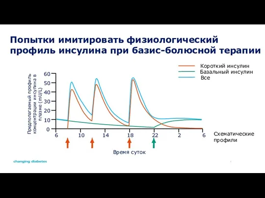 Попытки имитировать физиологический профиль инсулина при базис-болюсной терапии Схематические профили 60 50 40