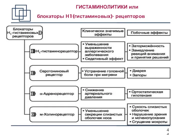 ГИСТАМИНОЛИТИКИ или блокаторы Н1(гистаминовых)- рецепторов