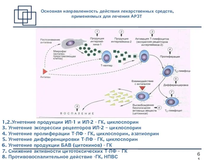 1,2.Угнетение продукции ИЛ-1 и ИЛ-2 - ГК, циклоспорин 3. Угнетение