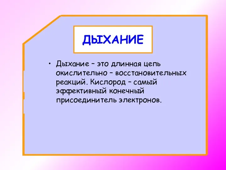 ДЫХАНИЕ Дыхание – это длинная цепь окислительно – восстановительных реакций.