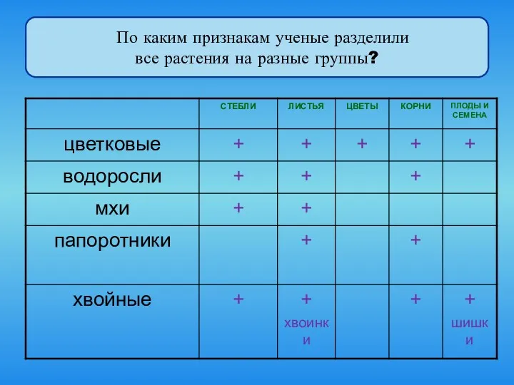 По каким признакам ученые разделили все растения на разные группы?