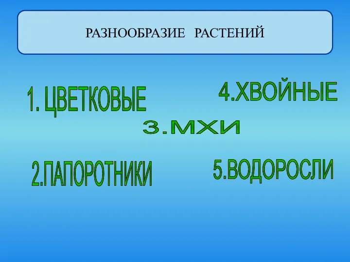 5.ВОДОРОСЛИ 2.ПАПОРОТНИКИ 3.МХИ 1. ЦВЕТКОВЫЕ 4.ХВОЙНЫЕ РАЗНООБРАЗИЕ РАСТЕНИЙ