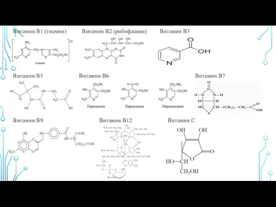 Витамин B1 (тиамин) Витамин B2 (рибофлавин) Витамин B3 Витамин B5