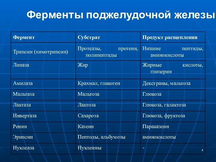 Ферменты поджелудочной железы