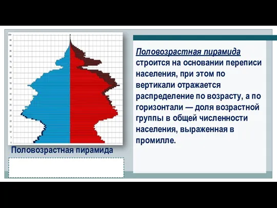 Половозрастная пирамида Половозрастная пирамида строится на основании переписи населения, при