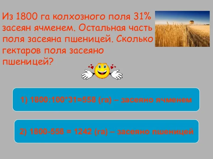 Из 1800 га колхозного поля 31% засеян ячменем. Остальная часть