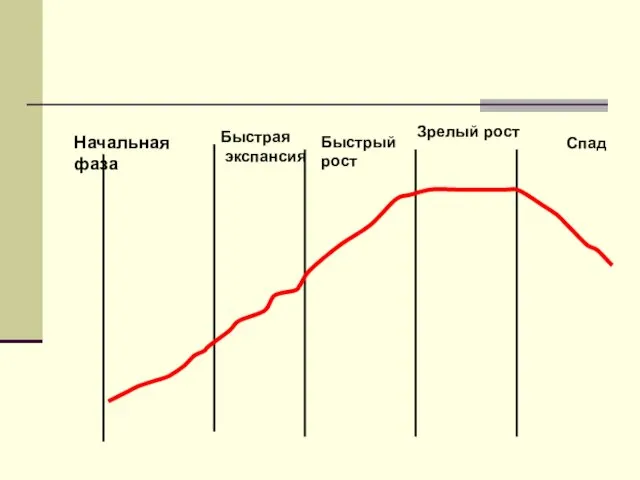 Начальная фаза Быстрая экспансия Быстрый рост Зрелый рост Спад