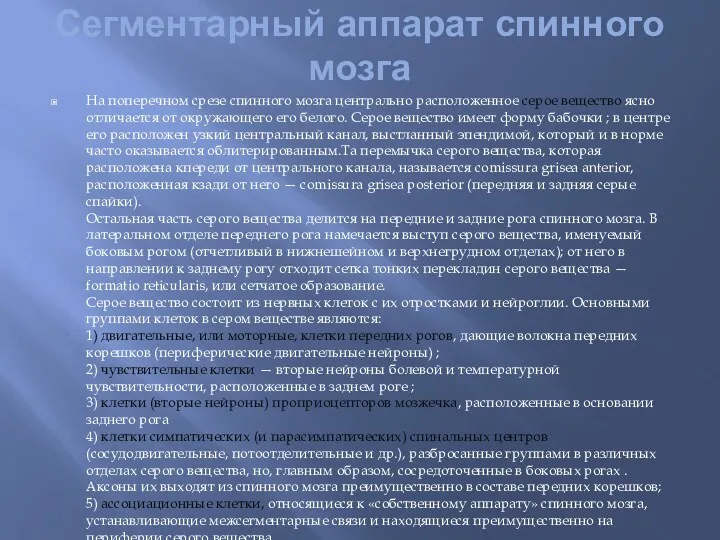 Сегментарный аппарат спинного мозга На поперечном срезе спинного мозга центрально