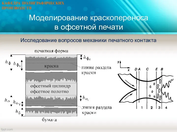 Моделирование краскопереноса в офсетной печати Исследование вопросов механики печатного контакта КАФЕДРА ПОЛИГРАФИЧЕСКИХ ПРОИЗВОДСТВ