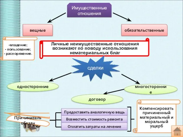 Имущественные отношения вещные обязательственные Личные неимущественные отношения возникают по поводу