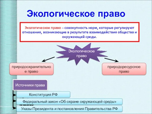 Экологическое право Экологическое право – совокупность норм, которые регулируют отношения,