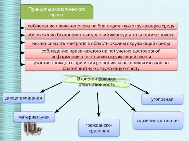 Принципы экологического права соблюдение права человека на благоприятную окружающую среду