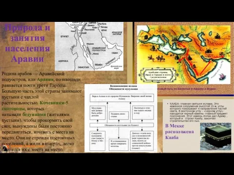 Родина арабов — Аравийский полуостров, или Аравия, по площади равняется