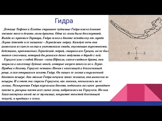 Гидра Детище Тифона и Ехидны страшное чудовище Гидра имела длинное