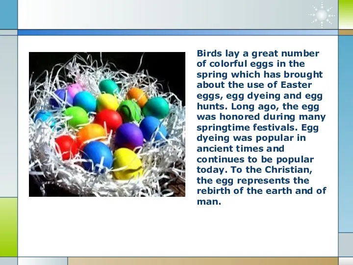 Birds lay a great number of colorful eggs in the