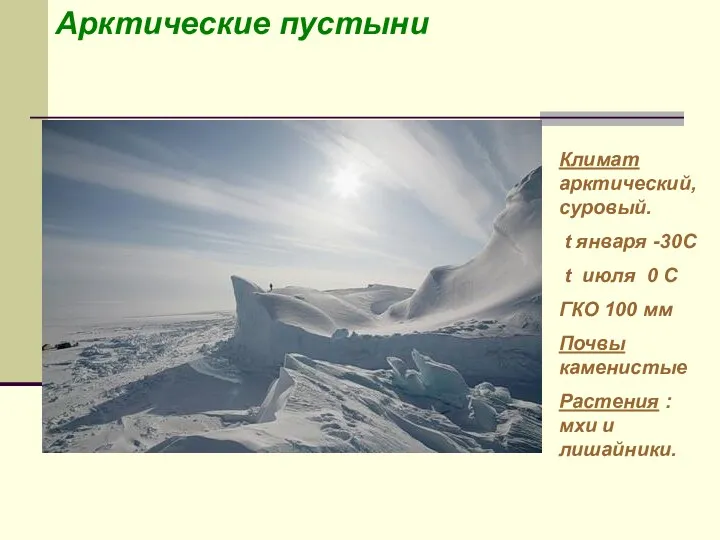 Арктические пустыни Климат арктический, суровый. t января -30С t июля
