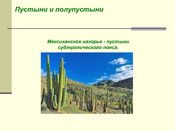 Пустыни и полупустыни Мексиканское нагорье - пустыни субтропического пояса.