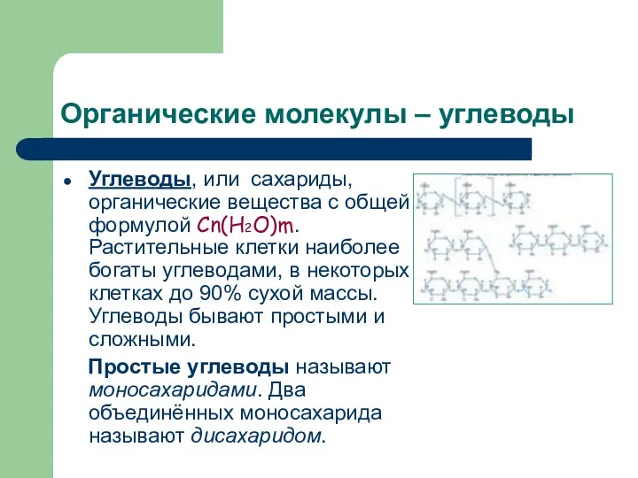 Органические молекулы – углеводы Углеводы, или сахариды, органические вещества с