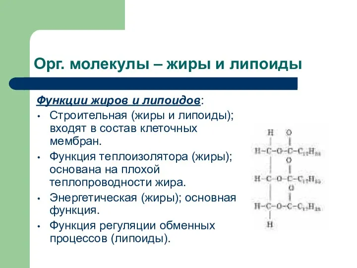 Орг. молекулы – жиры и липоиды Функции жиров и липоидов: