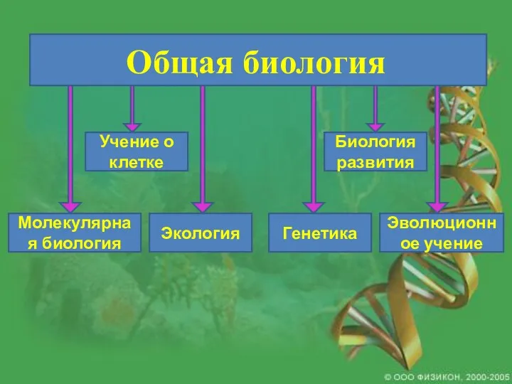 Общая биология Учение о клетке Экология Биология развития Генетика Молекулярная биология Эволюционное учение