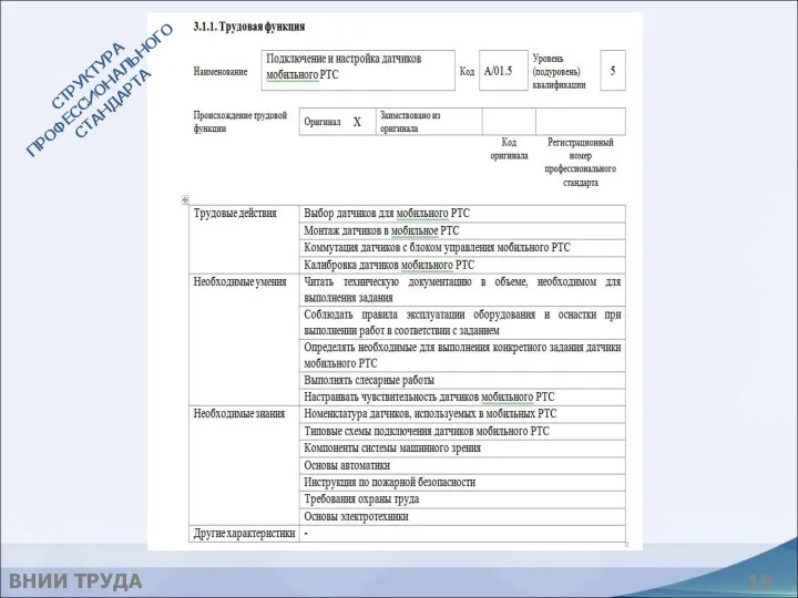 СТРУКТУРА ПРОФЕССИОНАЛЬНОГО СТАНДАРТА ВНИИ ТРУДА