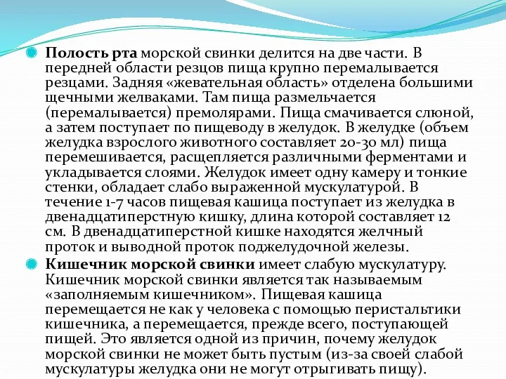 Полость рта морской свинки делится на две части. В передней