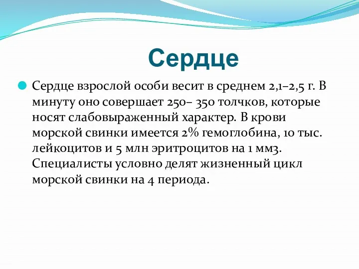 Сердце Сердце взрослой особи весит в среднем 2,1–2,5 г. В