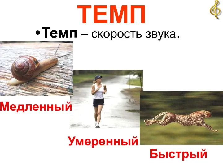 ТЕМП Темп – скорость звука. Умеренный Медленный Быстрый