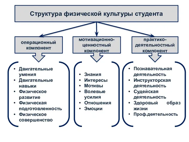 Структура физической культуры студента операционный компонент мотивационно-ценностный компонент практико-деятельностный компонент