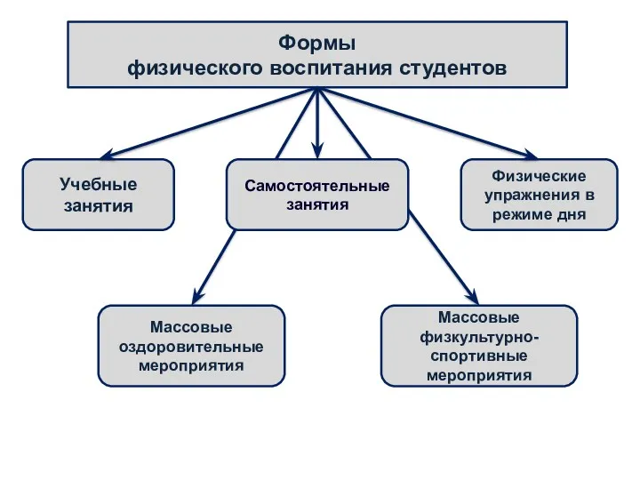 Формы физического воспитания студентов Учебные занятия Массовые физкультурно-спортивные мероприятия Массовые