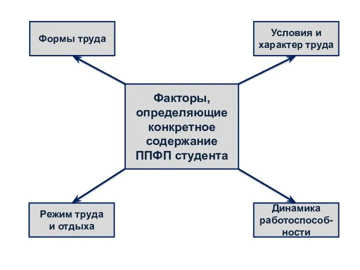 Факторы, определяющие конкретное содержание ППФП студента Формы труда Динамика работоспособ-ности