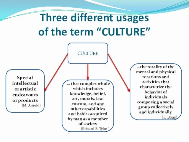 Three different usages of the term “CULTURE” CULTURE Special intellectual or artistic endeavours