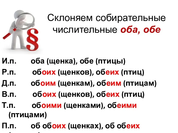 Склоняем собирательные числительные оба, обе И.п. оба (щенка), обе (птицы)