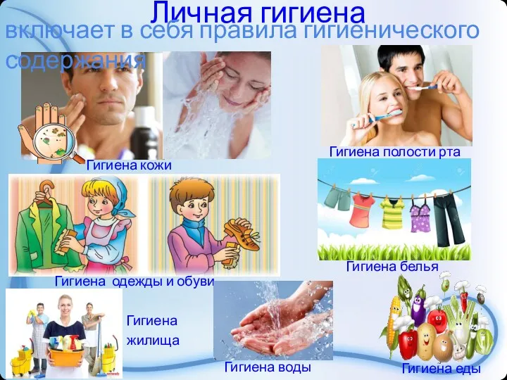 Личная гигиена Гигиена жилища включает в себя правила гигиенического содержания Гигиена кожи Гигиена
