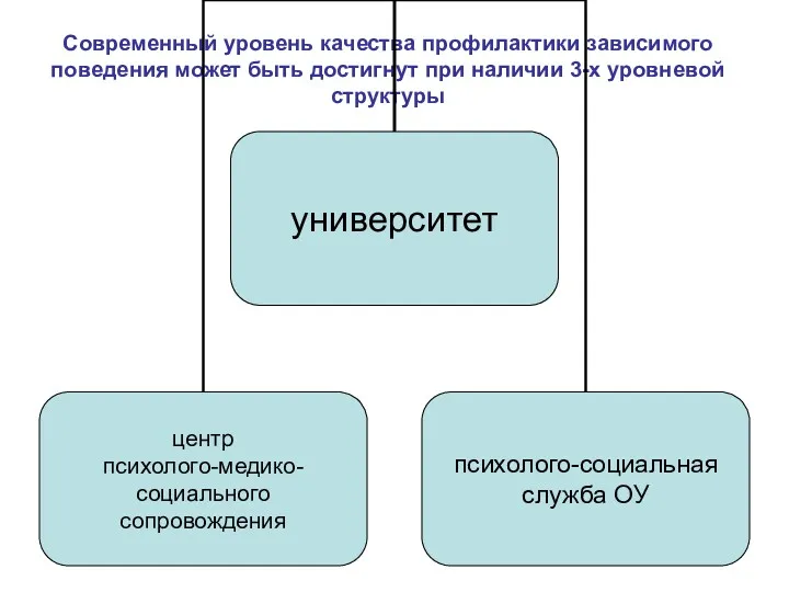 Современный уровень качества профилактики зависимого поведения может быть достигнут при наличии 3-х уровневой структуры