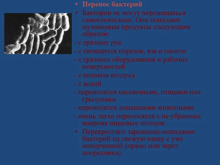 Перенос бактерий Бактерии не могут перемещаться самостоятельно. Они попадают на