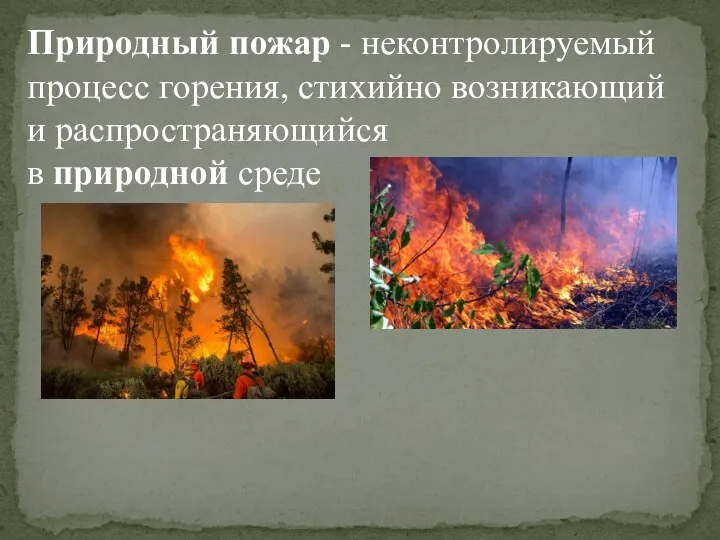 Природный пожар - неконтролируемый процесс горения, стихийно возникающий и распространяющийся в природной среде