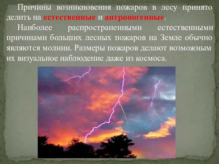 Причины возникновения пожаров в лесу принято делить на естественные и