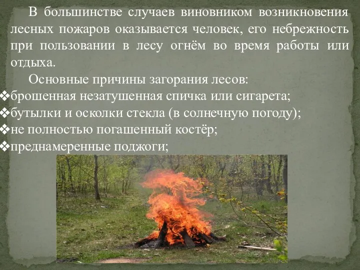 В большинстве случаев виновником возникновения лесных пожаров оказывается человек, его