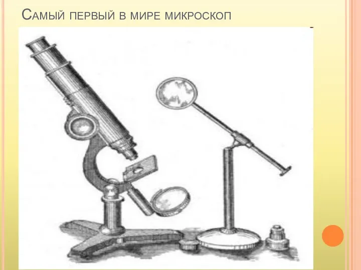 Самый первый в мире микроскоп