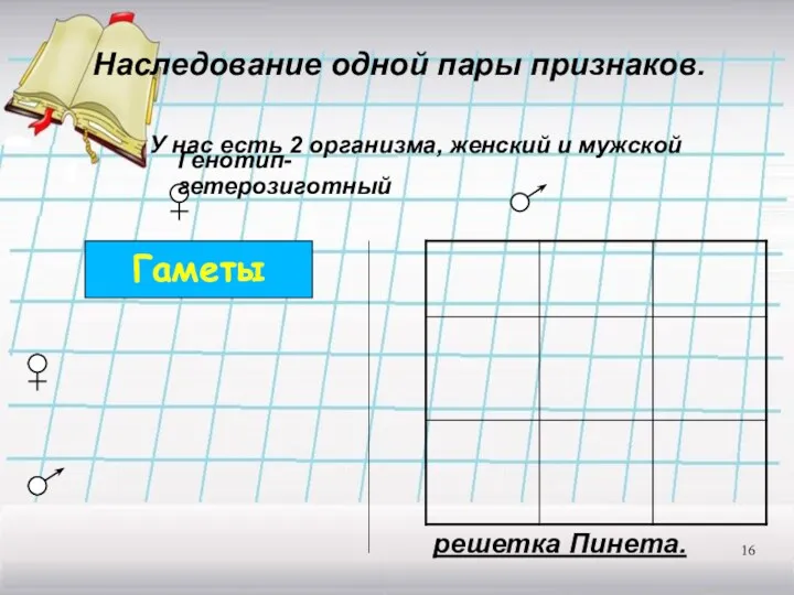 Наследование одной пары признаков. У нас есть 2 организма, женский