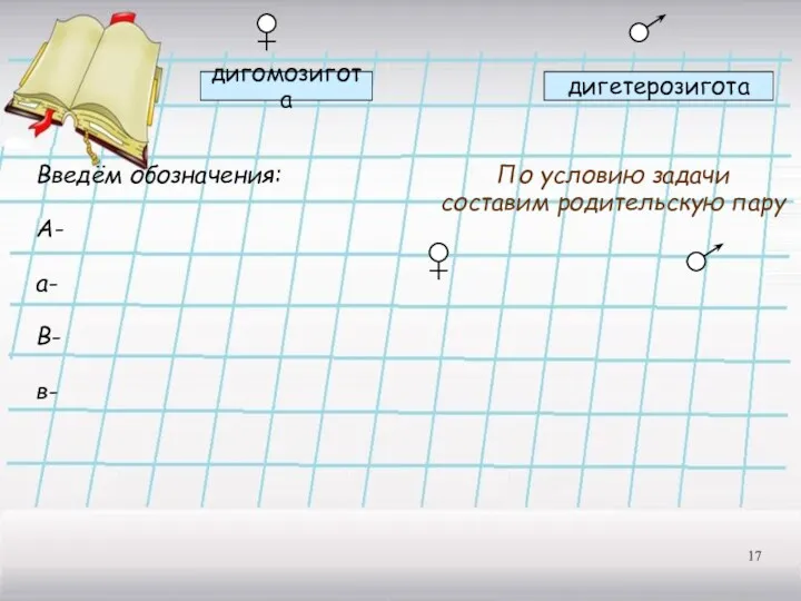 дигомозигота дигетерозигота Введём обозначения: А- а- В- в- По условию задачи составим родительскую пару