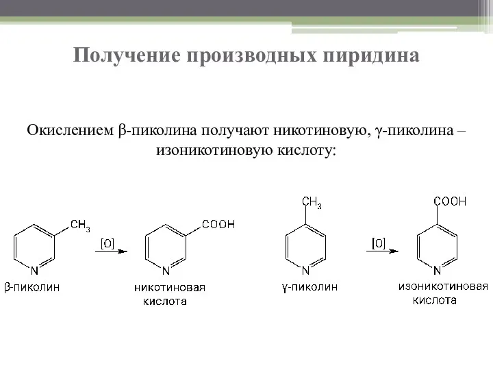 Получение производных пиридина Окислением β-пиколина получают никотиновую, γ-пиколина – изоникотиновую кислоту: