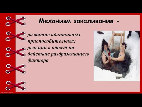 Механизм закаливания - развитие адаптивных приспособительных реакций в ответ на действие раздражающего фактора