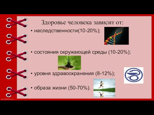 Здоровье человека зависит от: наследственности(10-20%); состояния окружающей среды (10-20%); уровня здравоохранения (8-12%); образа жизни (50-70%).