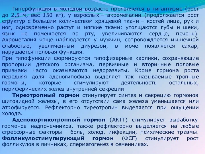 Гиперфункция в молодом возрасте проявляется в гигантизме (рост до 2,5